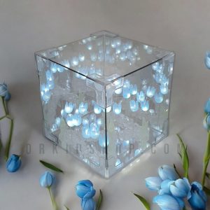 دشت لاله بینهایت مکعب آینه (مونتاژ شده)
