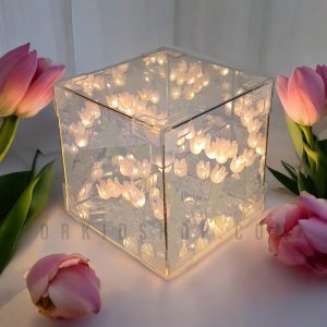 دشت لاله بینهایت مکعب آینه (مونتاژ شده)