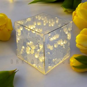 دشت لاله بینهایت مکعب آینه (مونتاژ شده)