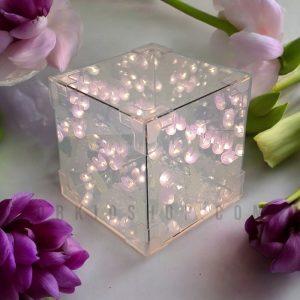 دشت لاله بینهایت مکعب آینه (مونتاژ شده)