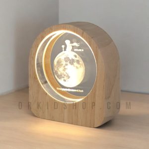 گوی کریستالی قاب چوبی طرح شازده کوچولو